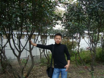 自信的石头的第一张照片--上海987交友网